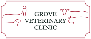 Grove Veterinary Clinic